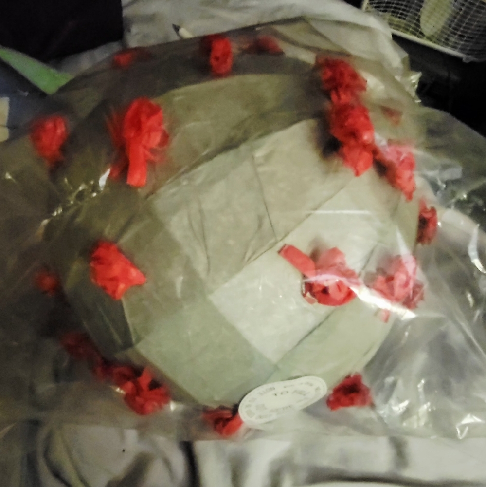 Coronavirus Pinata